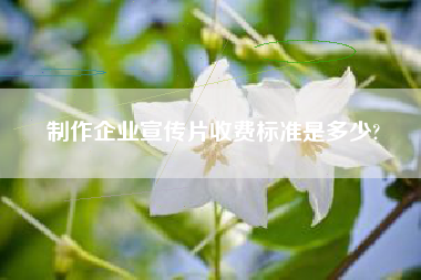 制作企業(yè)宣傳片收費(fèi)標(biāo)準(zhǔn)是多少?