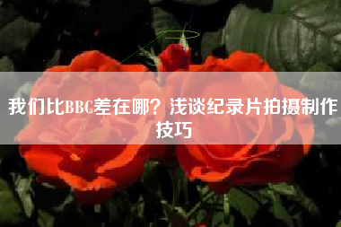 我們比BBC差在哪？淺談紀(jì)錄片拍攝制作技巧