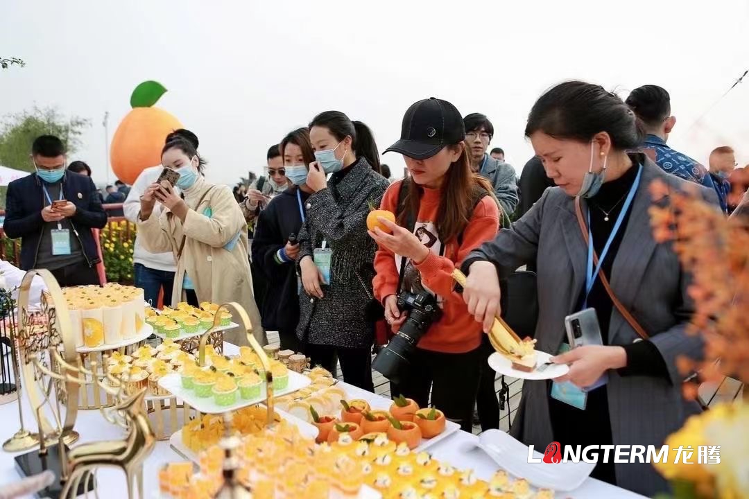 交通運輸部“行在鄉(xiāng)村 游在路上”脫貧攻堅自駕宣傳主題活動四川站啟動儀式于2020年11月17日在丹棱