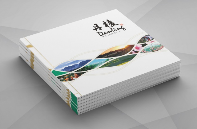 丹棱縣城市形象宣傳畫冊設(shè)計(jì)