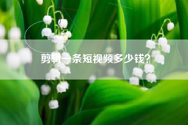 剪輯一條短視頻多少錢？